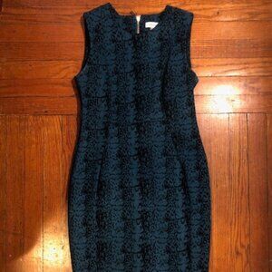Calvin Klein Dress Green & Black Sheath Size 8P